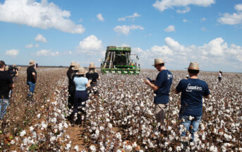 Cadeia produtiva do algodão e potencial têxtil de Campo Verde impressionam visitantes