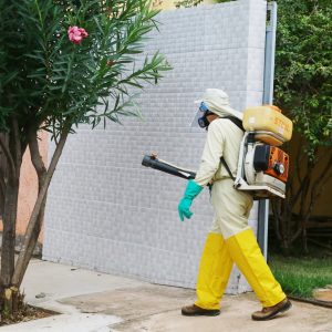 fotolegenda – combate à dengue