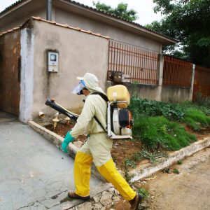 Apesar das chuvas, casos prováveis de dengue e chikungunya em Campo Verde estão dentro da normalidade