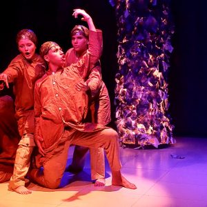 Festival de Teatro Tia Elair terá 12 espetáculos concorrendo