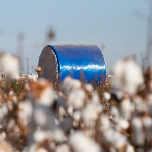 Campo Verde está entre os 20 maiores PIBs agropecuários do Brasil