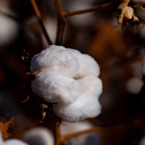 Material produzido pela Secretaria de Desenvolvimento Econômico retrata potencial para investimentos em Campo Verde