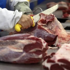 Carne Segura: Procon realiza palestra sobre a qualidade do produto e seus derivados
