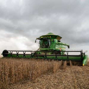 Campo Verde tem o 5° maior PIB agropecuário de Mato Grosso e o 8º no ranking nacional