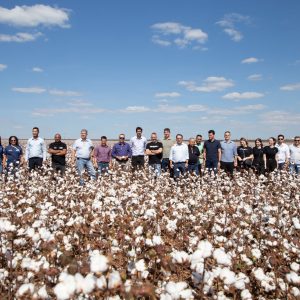 Secretários destacam que Governo apoia iniciativa de Campo Verde em verticalizar a cadeia do algodão