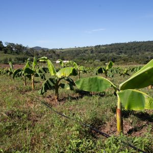 Prefeitura repassa kit de irrigação para pequenos produtores