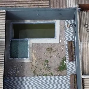 Dengue: 90% dos focos do mosquito transmissor estão em quintais e residências