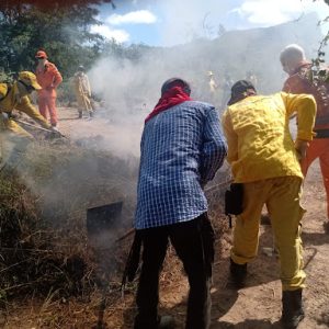 Defesa Civil, Corpo de Bombeiros e Sindicato Rural oferecem curso de brigadista florestal